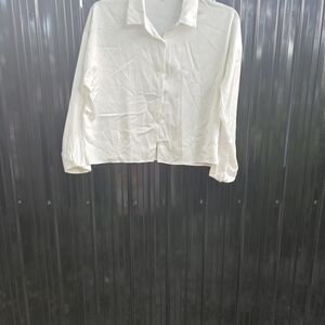 Ambiance Cream Button-Up‎ Shirt